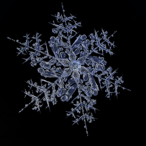 snowflake 0