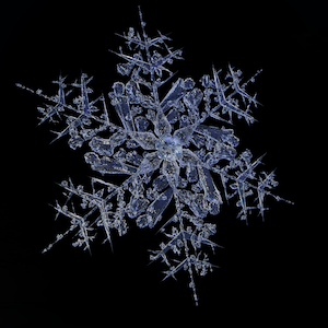 snowflake 0